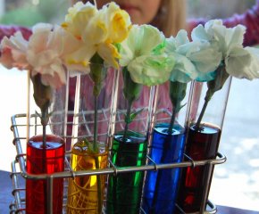Coloring-Carnation-Flowers.jpg Coloring-Carnation-Flowers.jpg