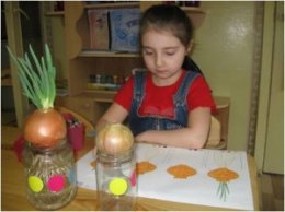 Девочка посадила лук