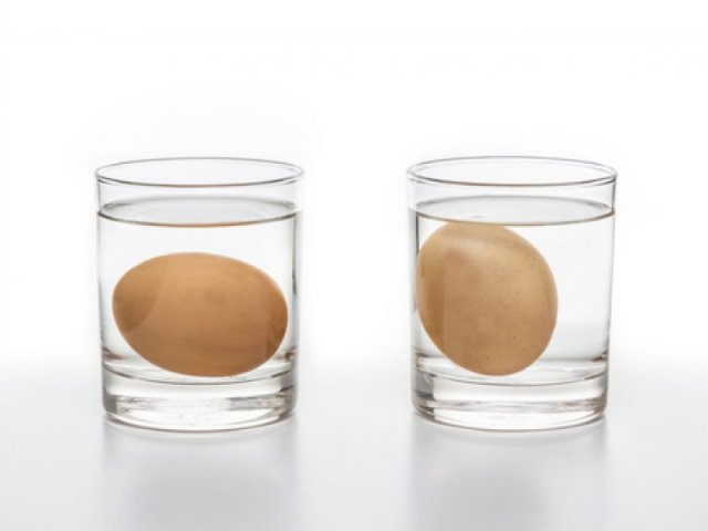 House Experiments For Children With Water