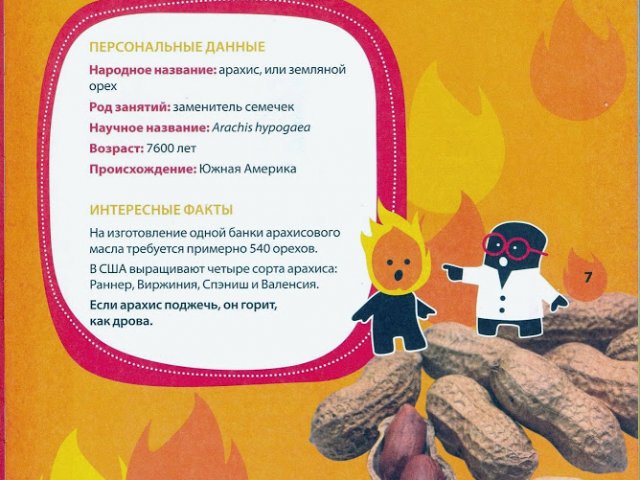 Experiments With Vegetables And Fruit For Children