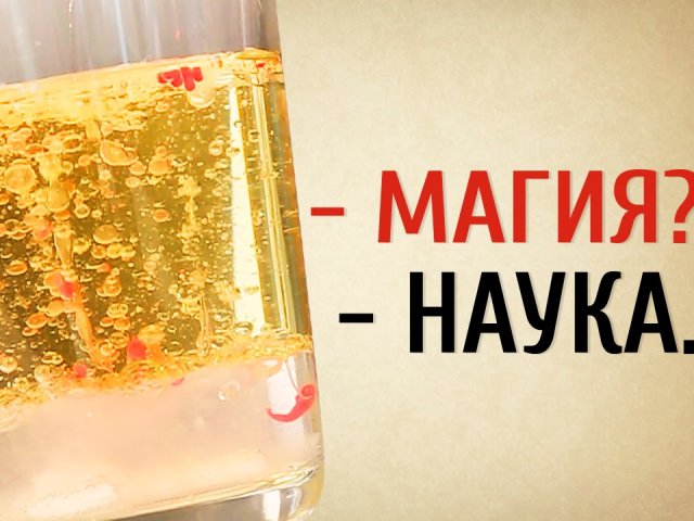 Cool Experiments For Children