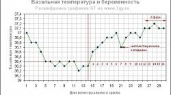 Определение беременности при помощи базальной температуры