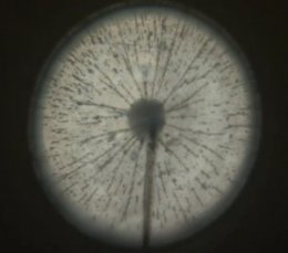ScreenShot121