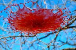 spinning-water-galaxies-interesting-fluid-physics-the-slow-mo-guys-youtube-thumbnail.jpg spinning-water-galaxies-interesting-fluid-physics-the-slow-mo-guys-youtube-thumbnail.jpg