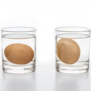 House Experiments For Children With Water