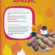 Experiments With Vegetables And Fruit For Children