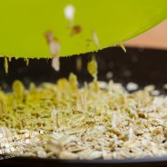 How To Do A Trick At Home