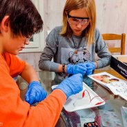 Collection Of Chemical Experiments Of Children