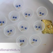 Home-Based Soda Experience