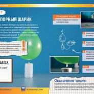 Extensive Experience For Young Students